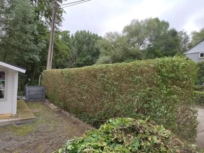 tuinaanleg-tuinonderhoud-tuinman-Bornem-Temse-MVMtuinen (12)